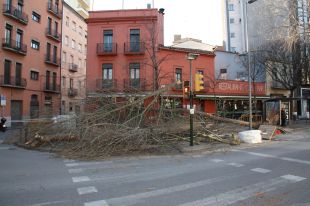 Cau un plataner de deu metres davant els Jutjats de Girona a causa del fort vent