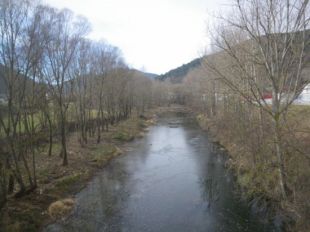 L'ACA finalitza els treballs de millora d'un tram de la llera del riu Ter a Ripoll