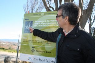 Netejen els voltants del Castell de Sant Ferran per preservar una flor única al món