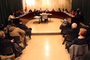 Salt es compromet a publicar els béns dels regidors al web