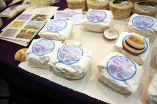 Un formatge amb aigua de mar al Fòrum Gastronòmic