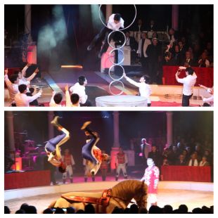 El Festival de Circ de Figueres ja té guanyadors