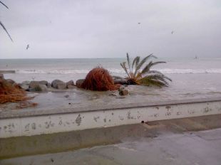 La llevantada malmet el litoral de Roses