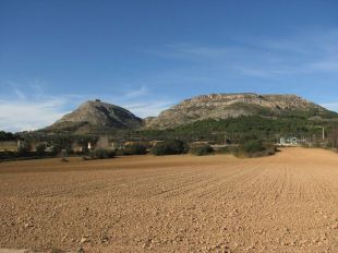 Els ecologistes volen una Junta Rectora del Parc del Montgrí més diversa