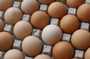 Polèmica a la Jonquera per 380.000 ous comissats