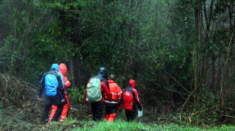 La recerca s'ha de fer a peu i per camins amb molta vegetació del Coll d'Úria © ACN