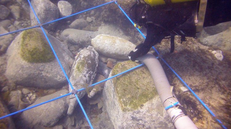 Unes àmfores romanes trobades en un vaixell enfonsat a la Costa Brava (arxiu)