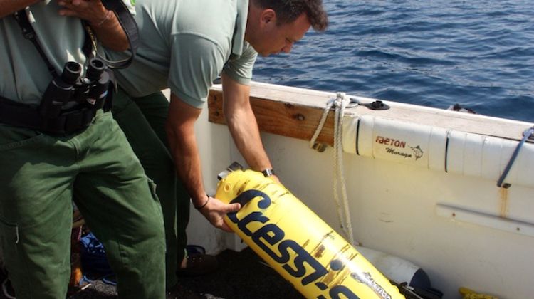 Rurals inspeccionant el material de l'interior d'una llanxa © ACN