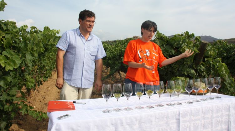 El director general del celler Espelt, Xavier Cepero, i l'enòloga, Anna Espelt, aquest dilluns en el tast dels raïms © ACN