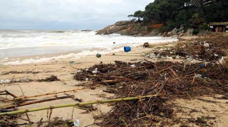 Estat en que va quedar la platja de Torre Valentina a Sant Antoni de Calonge. ACN