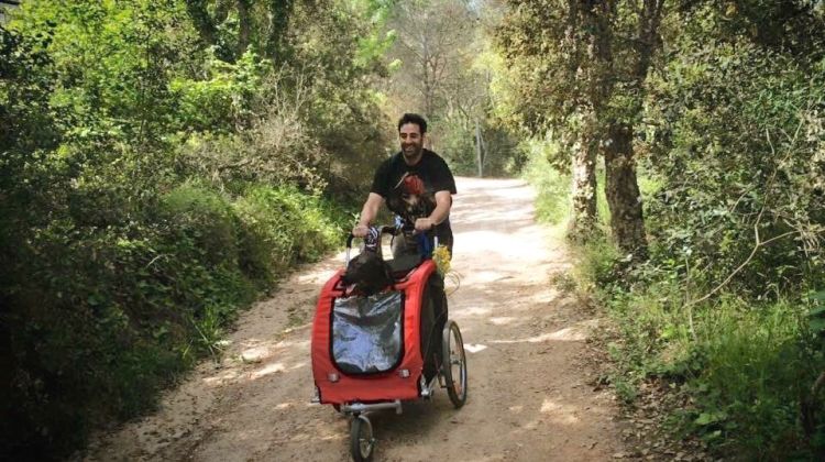 En Bongo i en Joan passejant pel bosc. Joan Capdevila