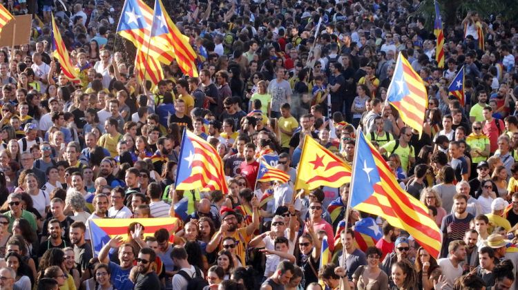 Estelades i pancartes contra la policia espanyola, a la manifestació de Girona. ACN