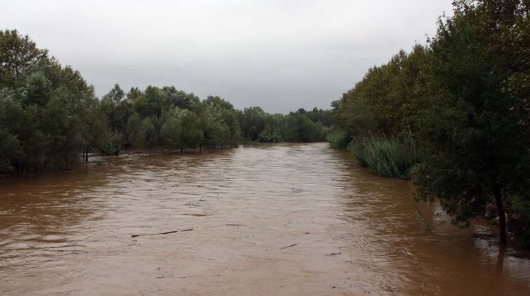 Aspecte que presentava el riu Llobregat aquest matí al seu pas per la Peralada © ACN