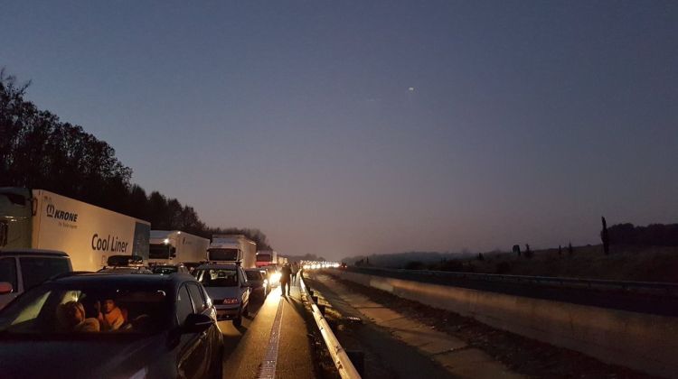 La llarga cua de vehicles que s'ha generat a primera hora del matí. Rafa Momplet