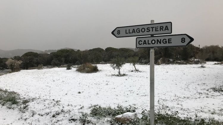 La nevada, a primera hora d'aquest matí a Romanyà de la Selva. ACN