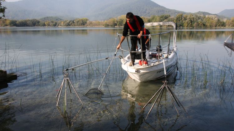 L'objectiu del programa és reduir la presència de les espècies exòtiques a l'estany de Banyoles © ACN