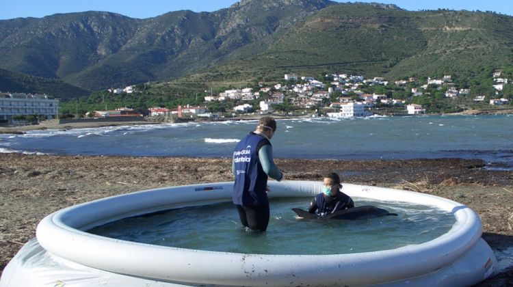 Després de treure'l de la sorra l'han traslladat a aquesta petita piscina © ACN