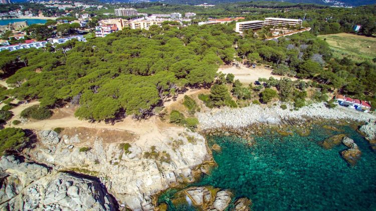 La Pineda d'en Gori en una vista aèria. ACN