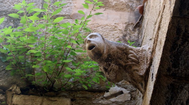 Una de les gàrgoles del segle XV situades al pati interior de la casa del carrer Bellmirall. ACN