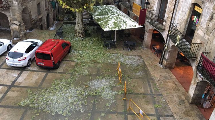 La plaça de la Llibertat completament inundada i l'arbre centenari castigat per la pedregada. Josep Estarriola