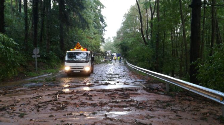 Arbres bloquegen la GIV-5441 a Espinelves. Diputació de Girona