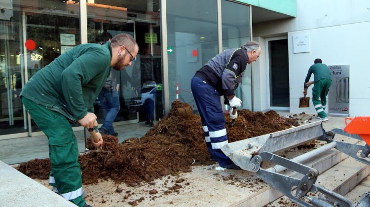 Treballadors de la brigada municipal retirant els fems. ACN