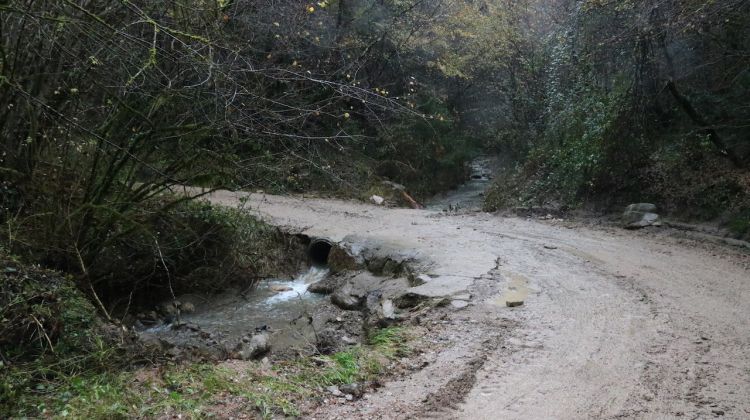 La riera on va passar el succés, aquest matí. ACN