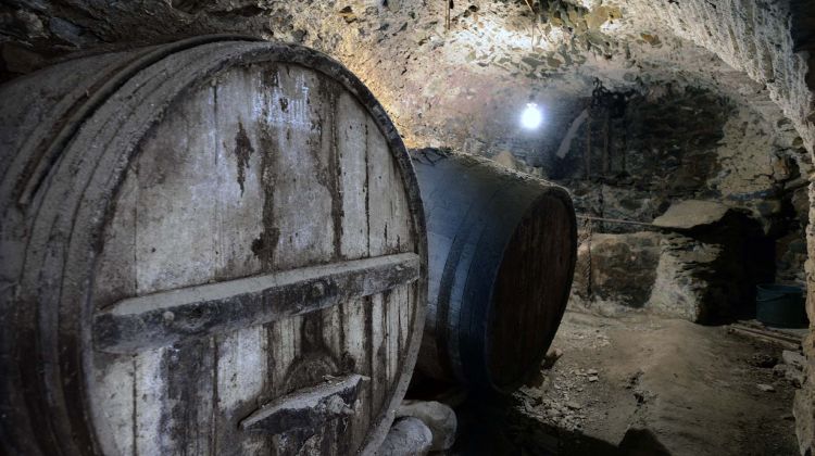 Interior del celler Can Banyes ubicat en un domicili particular a Rabós d'Empordà. Clara Isamat