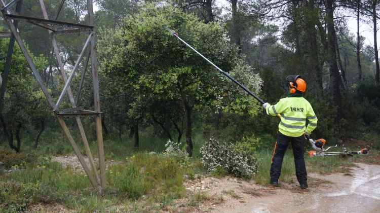 Tasques d'esporga d'un tallafoc d'una línia d'Endesa