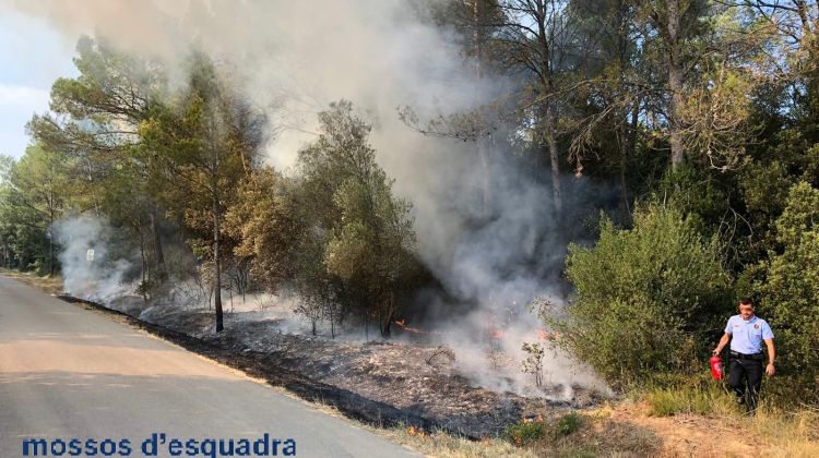 Un dels incendis a Garrigoles que se li imputen al piròman