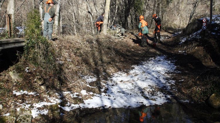 Tasques de manteniment i conservació al Torrent del Tornall de Vallfogona de Ripollès © ACN