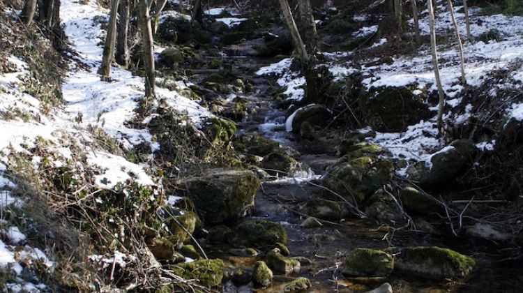 El torrent del Tornall de Vallfogona una vegada netejat © ACN