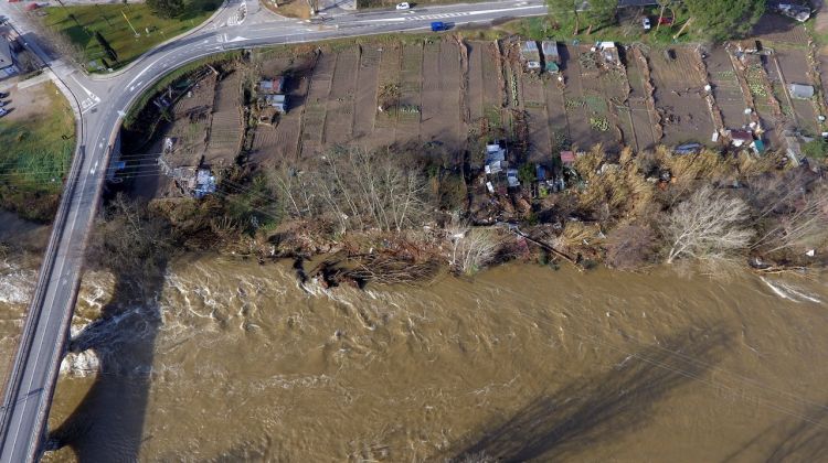 Imatge de dron d'horts inundats i arbres caiguts a Bonmatí. ACN