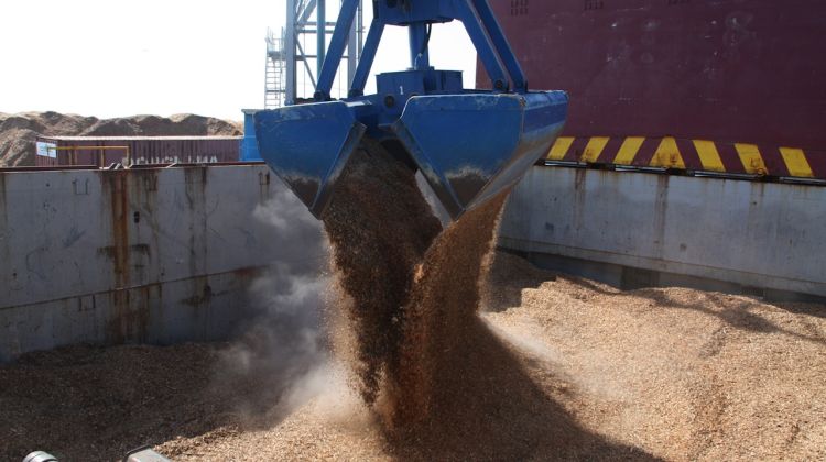 Una grapa s'encarrega de traslladar l'estella a l'interior de la bodega del vaixell © ACN