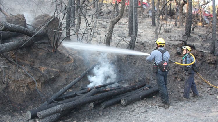 El primer foc forestal de l'any ha cremat 6,5 hectàrees de massa forestal © ACN