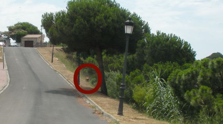 Aquest era el lloc on es trobava el pi © Ràdio Sant Feliu