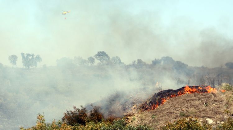 Les flames han creat unes 80 hectàrees