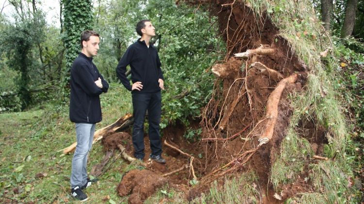 Un altre dels roures que ha patit les conseqüències de la tempesta © ACN