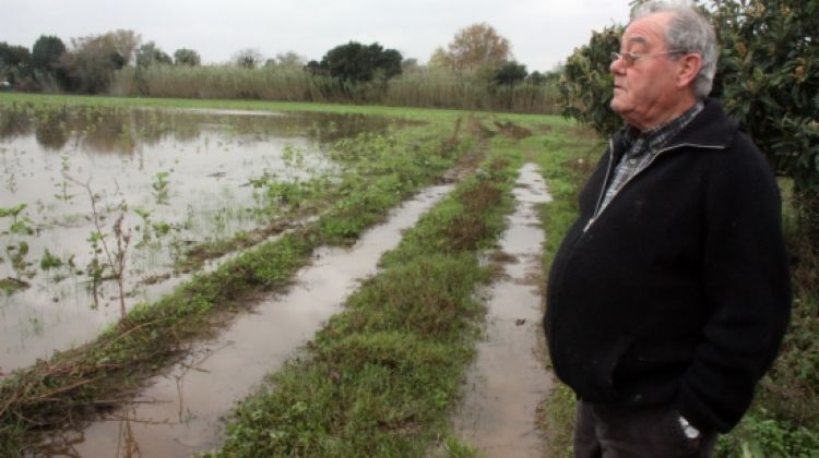 Un pagès contempla les inundacions que han provocat les pluges als camps de Peralada © ACN