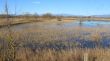 El Govern comprarà per 1,4 MEUR els estanys de Sant Antoni als Aiguamolls per regenerar-los