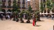 El 70è Girona Temps de Flors aplega 380.000 visitants, 20.000 menys que l'any passat