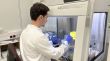 Girona ja fa proves per detectar malalties com el dengue, el zika, el chikungunya i la febre del Nil