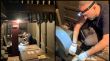 Comença la restauració de l’orgue de Santa Maria dels Turers de Banyoles