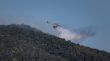 Què diuen els experts sobre el veí de Calonge que va fugir de casa durant l'incendi?