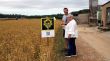 Neix la 'Farming League' per premiar els millors productors de blat de secà gironins