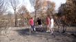 Les Gavarres es mobilitzen després de l’incendi amb una gran jornada solidària
