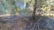 Detenen una dona per provocar un incendi mentre cuinava en una zona boscosa de Llançà