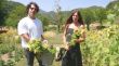 Una parella impulsa des de Beget un negoci de flors de temporada cultivades al Ripollès