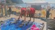 Un total de 124 voluntaris recullen 199 kg de residus a Palafrugell