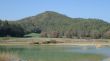 El Consorci de l'Estany adquireix 55,6 hectàrees forestals al Puig Clarà